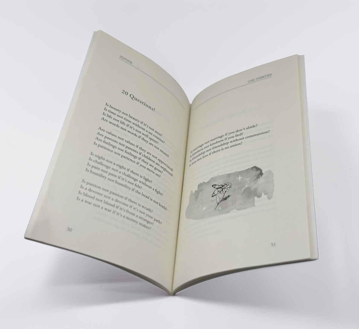 THE THIRTIES — Paperback, Premium